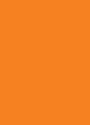 Prijskaart Blanco Fluor Oranje (100st)