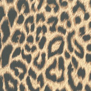 Inpakpapier Leopard Panterprint