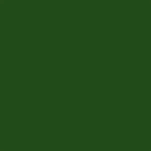 Servetten 38x38cm 40 stuks Colour Soft Touch green forest