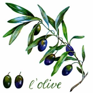 Servetten 33x33cm 20 stuks A.L.C. L'Olive